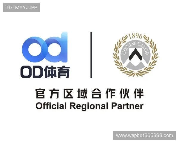 OD体育线上官网安全可靠的平台保障用户个人信息与资金安全体验无忧的线上体育娱乐新选择